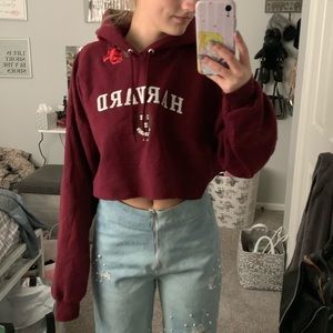 LF vintage cropped hoodie